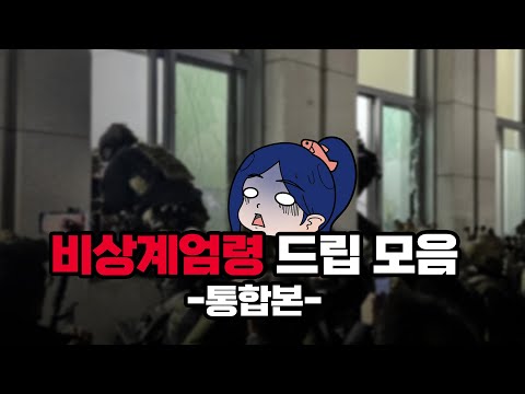 비상계엄령선포 드립 통합본