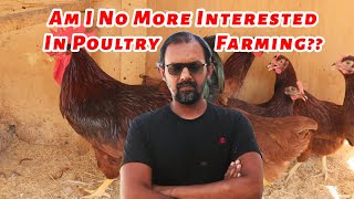 Am I No More Interested In Poultry Farming?