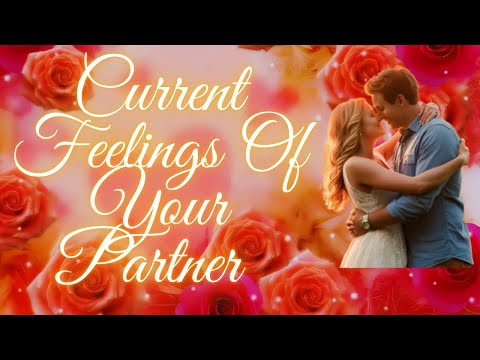 CURRENT FEELINGS OF YOUR PARTNER|TAROT READING IN HINDI|TIMELESS @healingtarot111