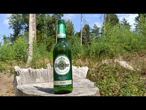 Ich teste das Wahrsteiner Pilsener Herb | Biertest #68