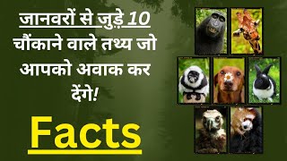 10 Mind-Blowing Animal Facts That Will Leave You Speechless! | #amazingfacts #facts #Top10 #hindi