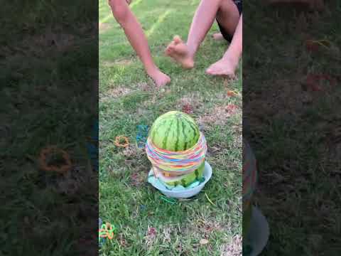 🍉 Exploding Watermelon Experiment for Kids | Watermelon and Rubber Bands Activity for Kids #shorts