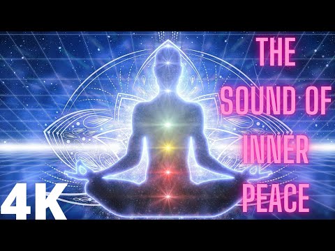 🔴 Meditation Music for Beginners | Peaceful Positive Energy Meditation Music (Nature Quest)