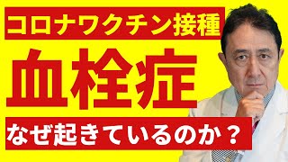 コロナワクチン接種後の血栓症はなぜ起きているのか？／犬房春彦（ルイ・パストゥール医学研究センター医学研究センター／医師・医学博士）