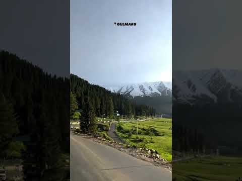 Gulmarg trip | NatureQuest #gulmarg #gulmargvlog #gulmargdiaries