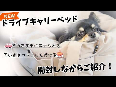 【NEWドライブキャリーベッド】購入レビュー!!