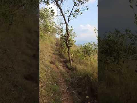 A beautiful walk through the Kurumbalakotta hills in Wayanad