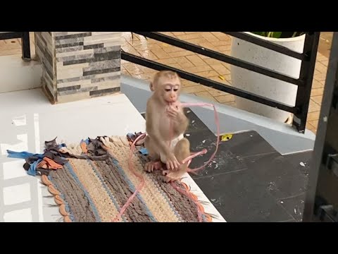 Adorable baby boy to play outside alone