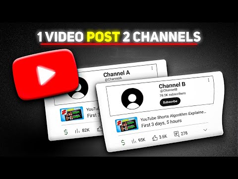 Two Channels, One Video: Shocking 60-Day Experiment Results!