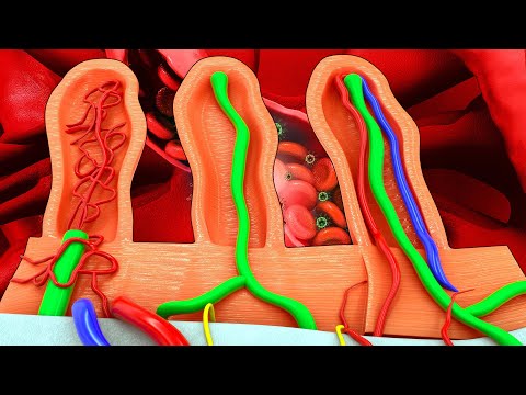 The Deepest Healing Sleep - 528Hz Regenerates The Whole Body, Emotional, Physical, Spiritual Healin