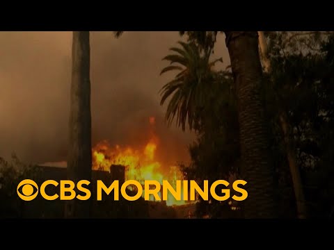 What to know about fire insurance claims amid devastating California wildfires