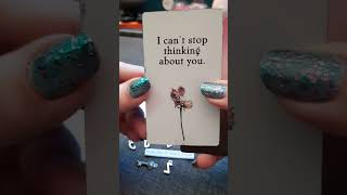 The person on your mind! | Timeless Tarot Card Reading | Hope Tarot Daily