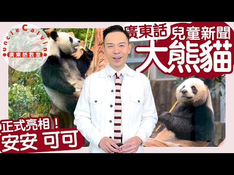 【大熊貓安安可可正式亮相】Giant Pandas AnAn KeKe I 海洋公園 動物 保育 景點 I 兒童新聞報道 UCC News I 廣東話教室