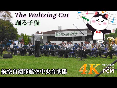 The Waltzing Cat 🐱 Japanese Air Force Band