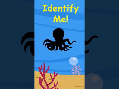 Identify Me Part1 #viralvideo #kids #animation #seaanimals #shorts #ytshorts