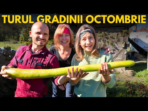 Turul GRADINII BIO in luna OCTOMBRIE | Vizitator surpriza | Permacultura