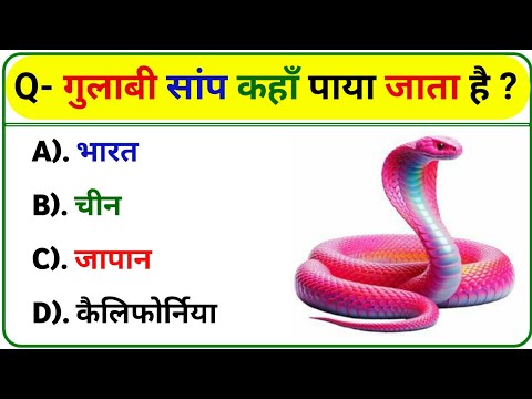 GK Question || GK In Hindi || GK Question and Answer || GK Quiz ||