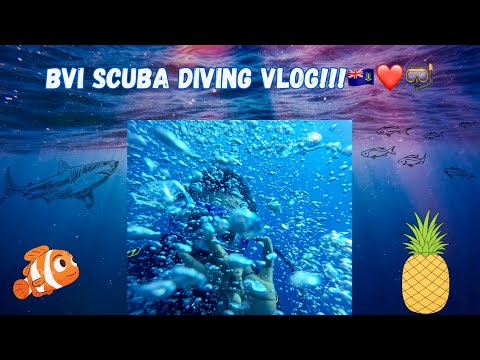 BVI SCUBA DIVING VLOG!!! 🇻🇬🤿