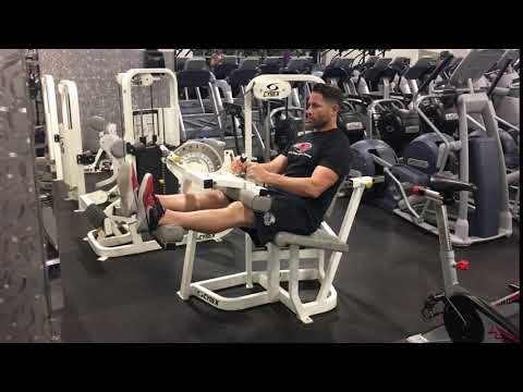 Seated Leg Curl