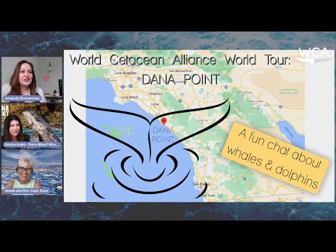 World Cetacean Alliance Takes You on a Tour of Dana Point, CA 🐳🐬