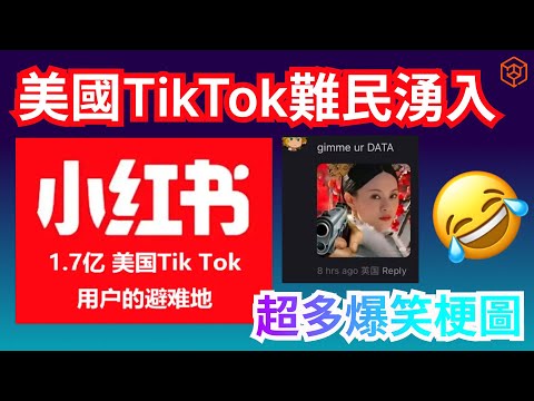 太誇張！美國TikTok難民湧入小紅書！超多爆笑梗圖合集 中美文化大碰撞