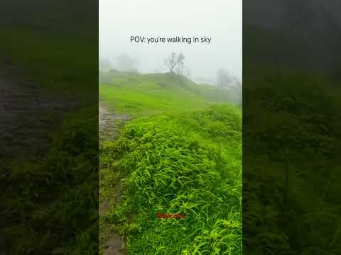 Walking in sky | monsoon in Sahyadri  #youtubeshorts #shorts #trekking #vlog #nature #lonavala