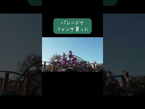 【Vlog】パレードでファンサ貰えた😭｜パルパルーザ｜ミニーのファンダーランド