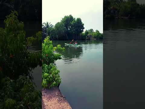 Serene backwaters of Paravur  #shortsfeed