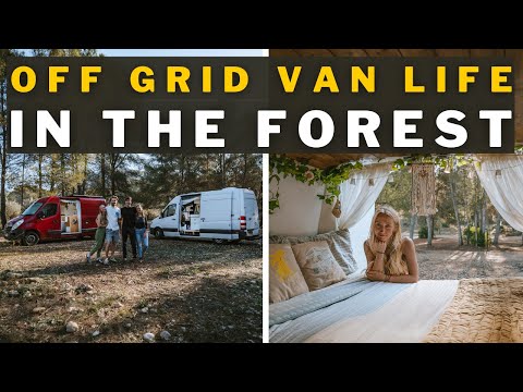 Off Grid in the Forest | Van Life Spain | Wild Swimming, Making Friends and More..