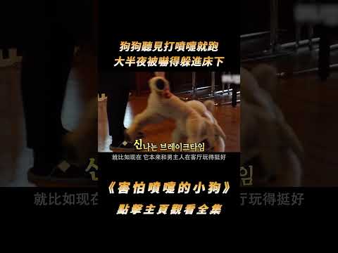 狗狗聽見打噴嚏就跑，大半夜被嚇得躲進床下，原因卻讓人意想不到#shorts