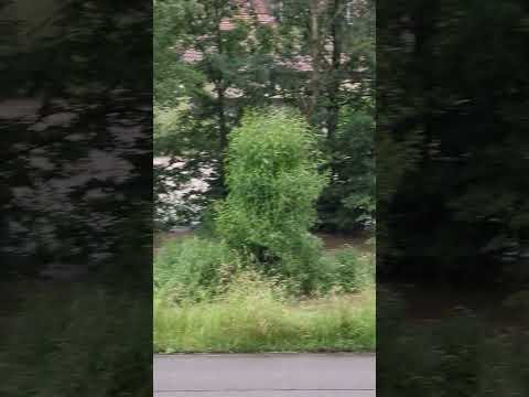 Germany Flood - Neckar River #Stuttgart #Wendlingen #GermanyFlood