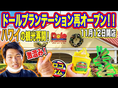 【ついにハワイ観光再開！】ハワイ人気観光スポットドールプランテーションの営業再開！