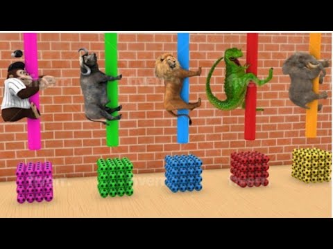 Long Slide Game With Elephant Gorilla Buffalo Hippopotamus Tiger 3d Animal Game Funny 3d Animals