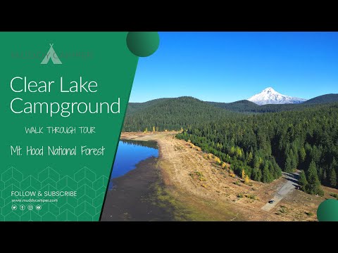 Clear Lake Campground - Mt. Hood National Forest, Oregon | Walkthrough