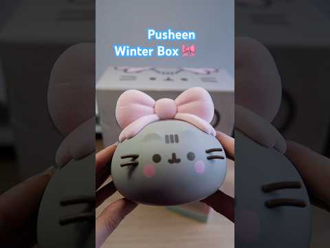 Pusheen Winter Box 2024 #pusheen