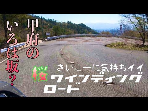 千代田湖一周桜CoffeeTouring甲府の絶景ツイストロード【BMW S1000R】