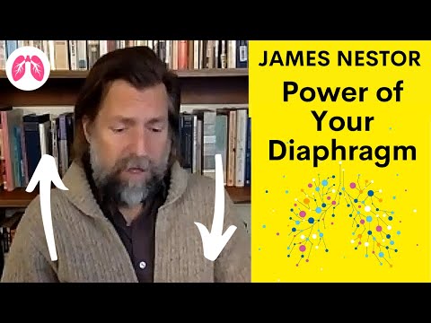 This is what the Diaphragm is for  | James Nestor Breath | TAKE A DEEP BREATH CLIPS