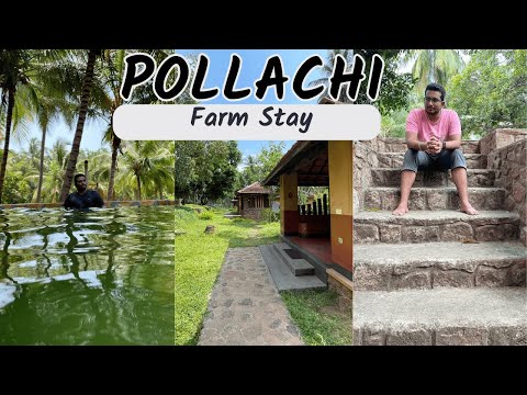 🌴Best Farm Stay at Pollachi 🌴|  Down to Earth Farm Stay | Full Review |#pollachi #farmstay #resort