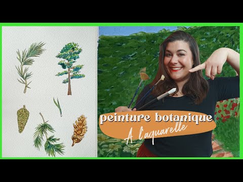 PEINDRE LA NATURE : illustration botanique à l'aquarelle 🌲🌿🌲