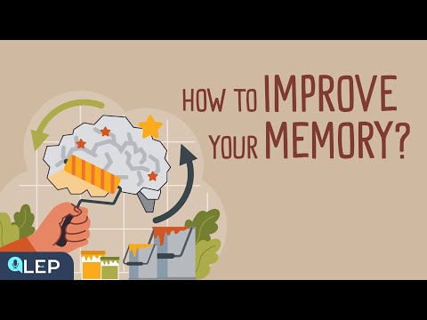 How to Improve Your Memory? | 🎧 Podcast and Chill | Beginner