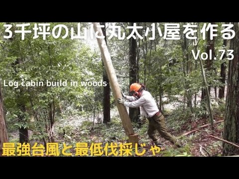 山開拓して丸太小屋を建てる　Vol.73 最強台風と最低伐採じゃ