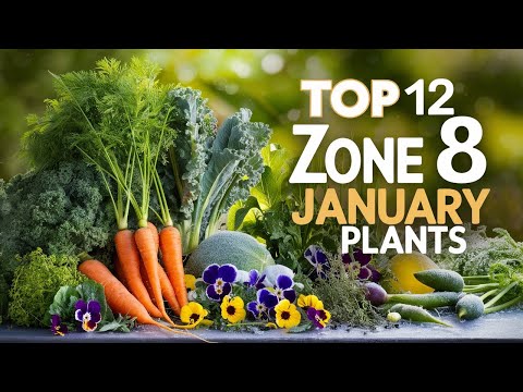 12 Must Grow Vegetables and Plants for an Incredible Zone 8 Garden This January