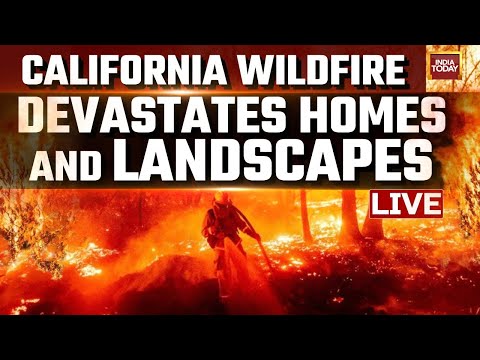 California Wildfires LIVE Updates | Trail Of Destruction Left Behind: LA Wildfire News | US News