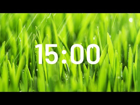 15 Minute Relaxing Rain Sound Timer 🌧️