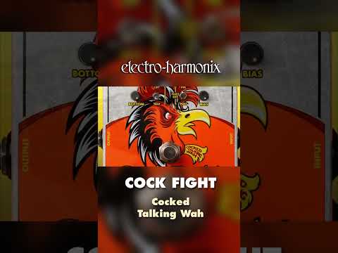 EHX Cock Fight Cocked Talking Wah Pedal Demo