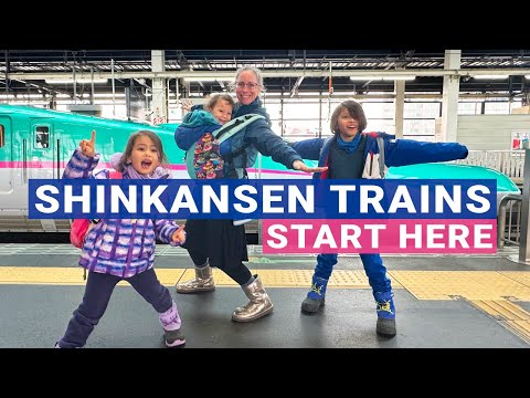 Beginner's Guide to Shinkansen Bullet Trains, How to Buy Tickets & Ride