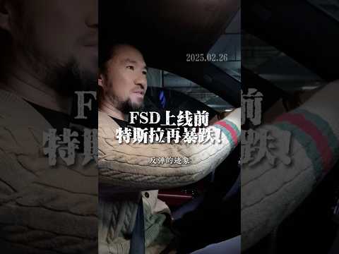 FSD上线前，特斯拉再暴跌! #经济 #财经 #金融 #FSD #特斯拉