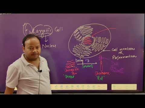 Central Dogma#VVI#Most Important#Viral neet Concept #Shamimneet