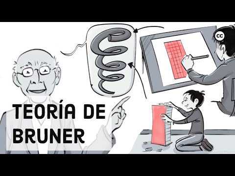 Los 3 pasos de aprendizaje en el currículum en espiral de Bruner