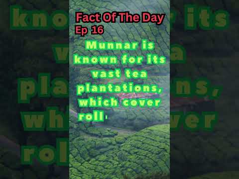 Fact Of The Day| Ep 16| Munnar Known For #shorts #trending #viral #sky #sunset #space